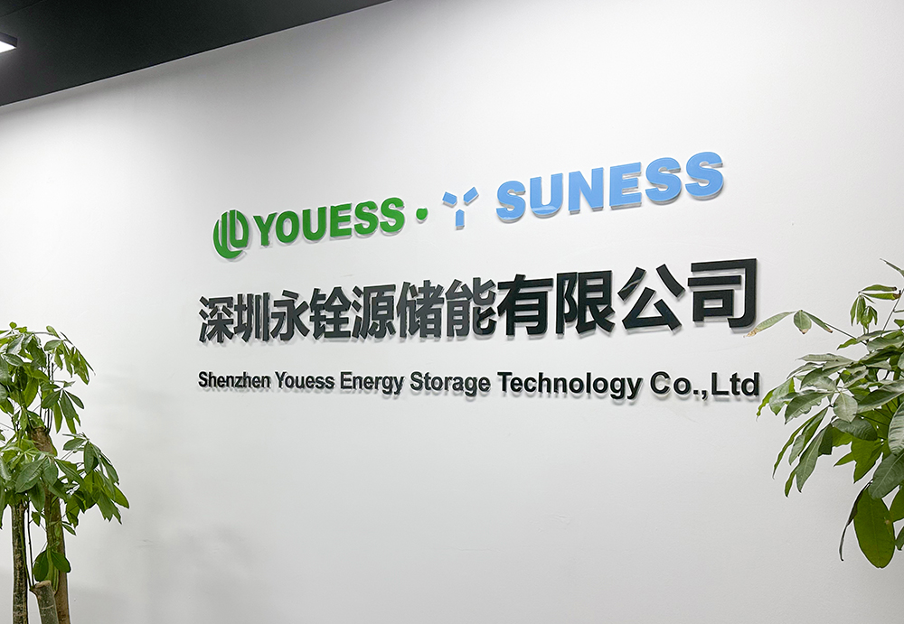 Shenzhen Youess Energy Storage Technology Co., Ltd.