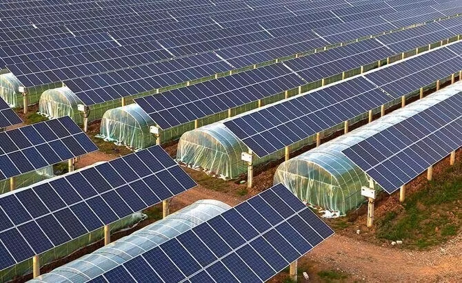 Pang-agrikulturang Photovoltaic Solution