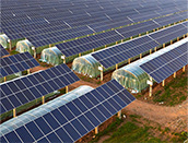 Pang-agrikulturang Photovoltaic Solusyon