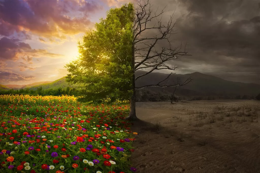 Paano Binubuo ng Mga Rate ng Interes ang Kinabukasan ng Malinis na Enerhiya